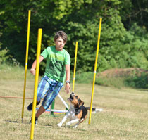 Turnierhundesport