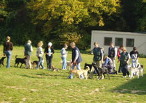 Die Basis-Gruppe bei der Arbeit