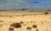 Die Wüste bei "El Jable"