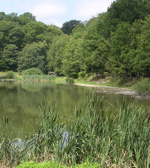L'étang de Meudon
