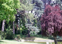 Le Jardin du Trocadero au Parc de saint Cloud JSF 12 06 2005
