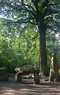 Le Chêne des Mission et son décor de