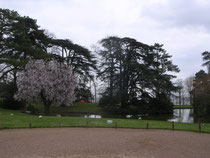 Le jardin du Trocadero au parc de Saint Cloud MP 22 mars 2005
