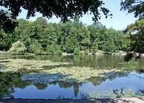 L'étang de Saint-Cucufa JFS 12 juin 2005