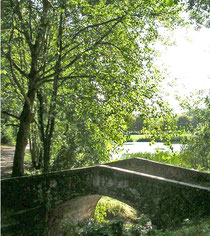 Le petit pont à l'étang de Meudon