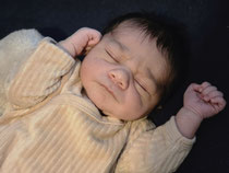 Nicola Damian Settembrino,  11. Februar 2026