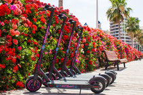 bloemenbrug valencia step