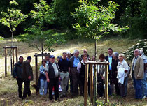 Esskastanienallee mit Besuchern (Foto: Dr. W. Kemmer)