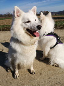 Lexi, im Februar 2020