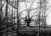 Так виглядало помістя в XIX ст.