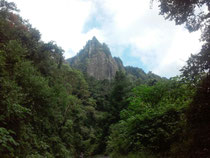 Mageestuosidad