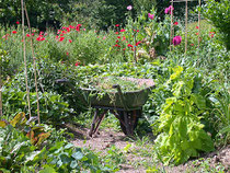 jardin naturel