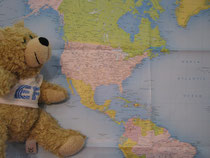 The Teddy bear contemplant les USA.