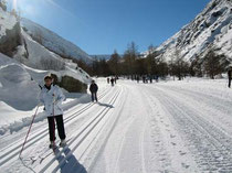 Cross-country Ski