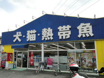 かねだい戸田店