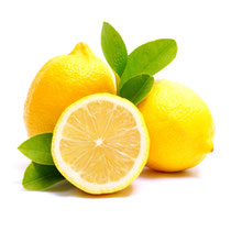 Zitrone (Citrus limonum)