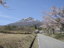 桜と磐梯山