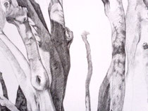 olive tree (detail/in progress)