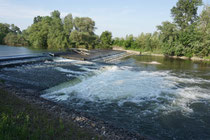 Wehr am Hérnad