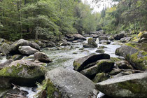 Wildwasserstrecke bei Normalwasser