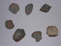diversité de roches alpines