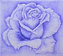 Disegni Con Penne A Sfera Lauralazzaros Jimdopage