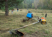 Biotoppflege bei schönstem Herbstwetter am Trebelberg -   Foto: W. Ewert