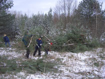 Arbeitseinsatz in der Kiesgrube 2010