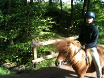 Pferd
