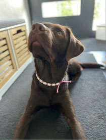 ❤️❤️ Rosi mit ihrem neuen EM-Perlenband ❤️❤️ 