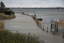 Hochwasser auf dem Graswarder