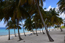 Cabo Corrientes, Stran vom Taucherhotel Maria la Gorda