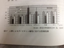 ダイオキシンと高麗人参