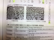 ガン細胞の分化誘導