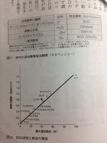 ＳＯＤ活性と寿命の関係