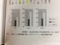 高麗人参による腎保護作用