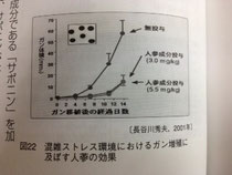 ガン増殖に及ぼす高麗人参の効果