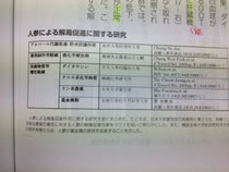 高麗人参による解毒促進に関する研究