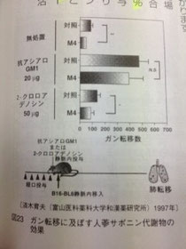 ガン転移と人参サポニン代謝物