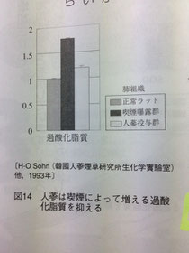 高麗人参の過酸化脂質抑制