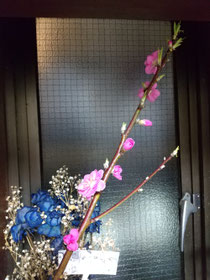 本日、お休みで申し訳ありませんでした。おかげさまで、親戚の葬儀も無事終わりました。86才のおじいちゃん。さみしいです。桃が咲いて癒やされました🌸