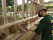 連休日記　東武動物公園に行ってきました。いろんな動物に餌やりができました。暑くて、人も動物もぐったりでした☀️