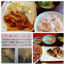 食欲の秋　古代米をいただきました。クセもなく、体にいい感じで、美味しくいただきました✨