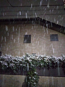 今年もよろしくお願いします⛄️