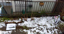 少し積もりました❄たいしたこなく　良かったですね☃