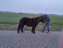 Moorblick's Neelke ( Neeltje )