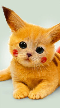 Gatitos Y Perritos Tiernos Pagina Web De Perrosygatitos
