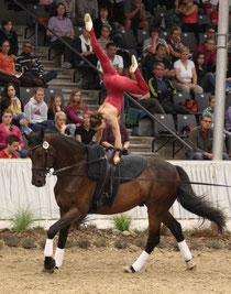 Chiara und Rubicon in Verden