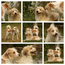 Maggie + Baily