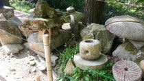 rocks